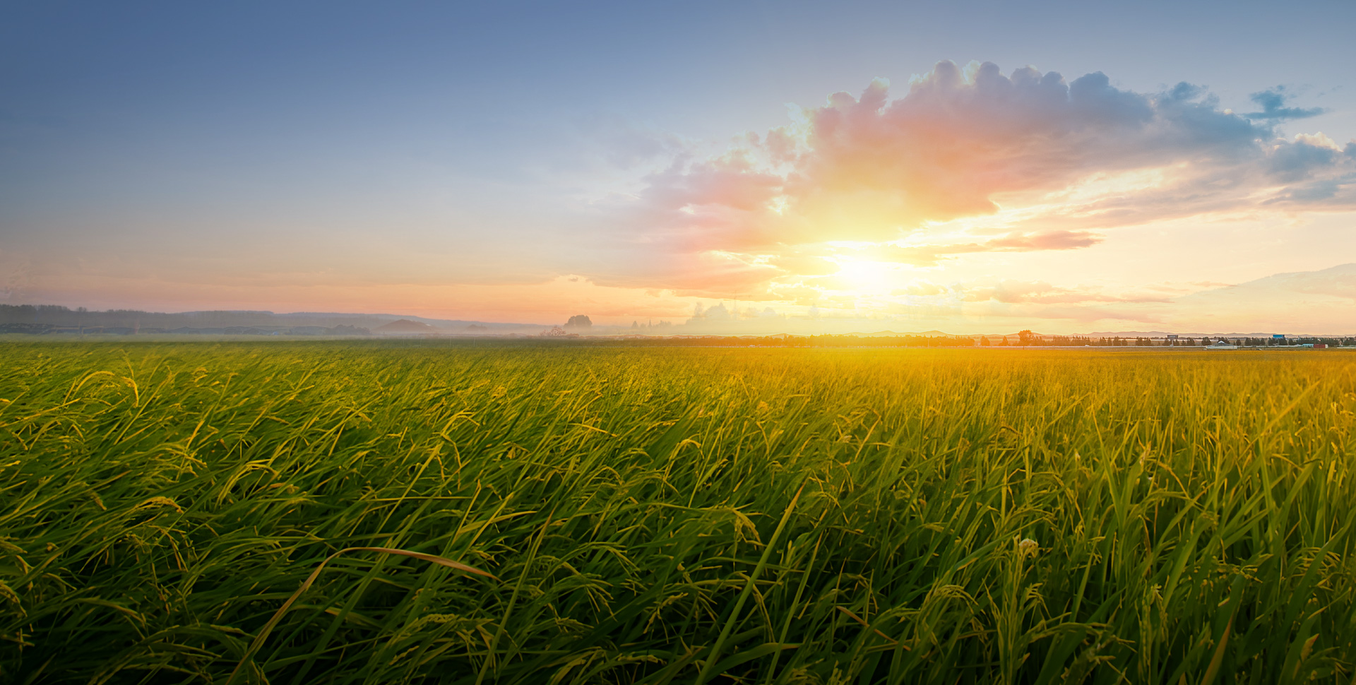 Benefit The Farmers<br>Reassure The<br>Consumers