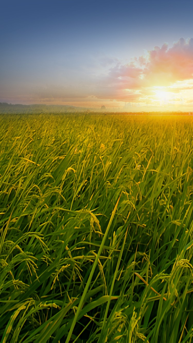 Benefit The Farmers<br>Reassure The<br>Consumers