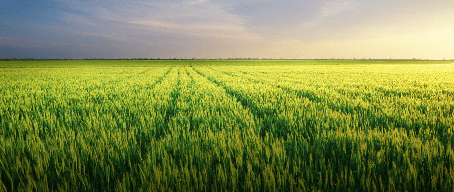 Protect the arable land ecosystem