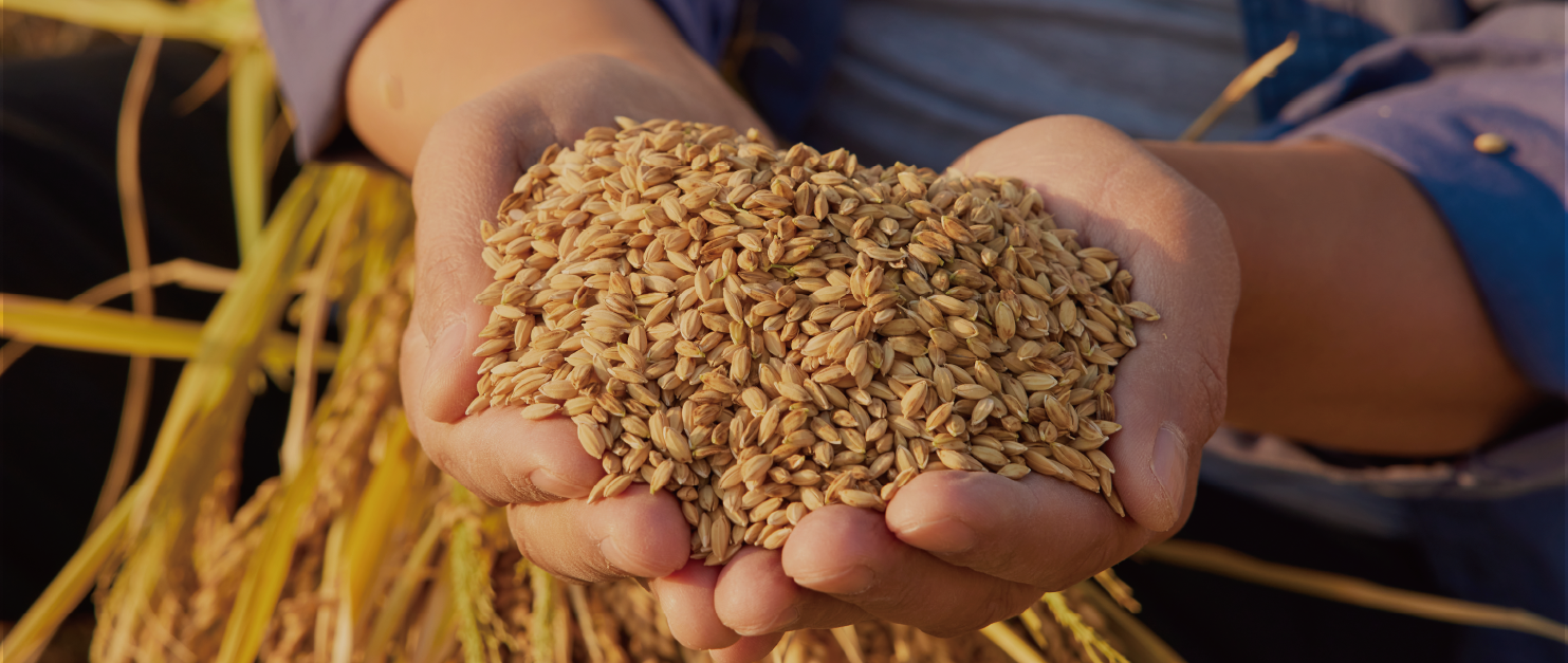 Our sincere intention<br>for the grain