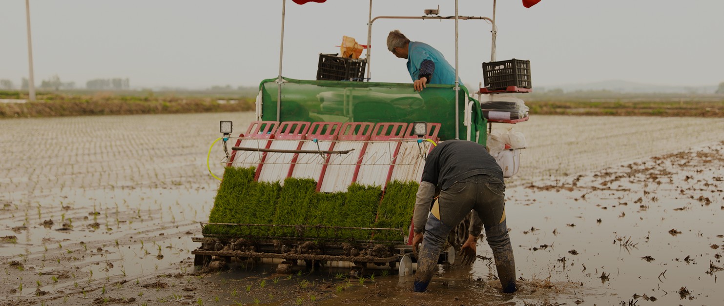 Procurement of Agricultural Supplies and Equipment